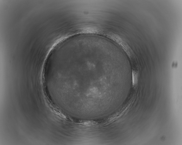 X0000097470579200802221238