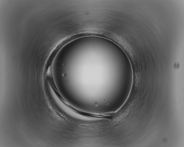 X0000097470580200802221238