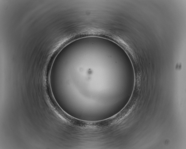 X0000097470581200802221238