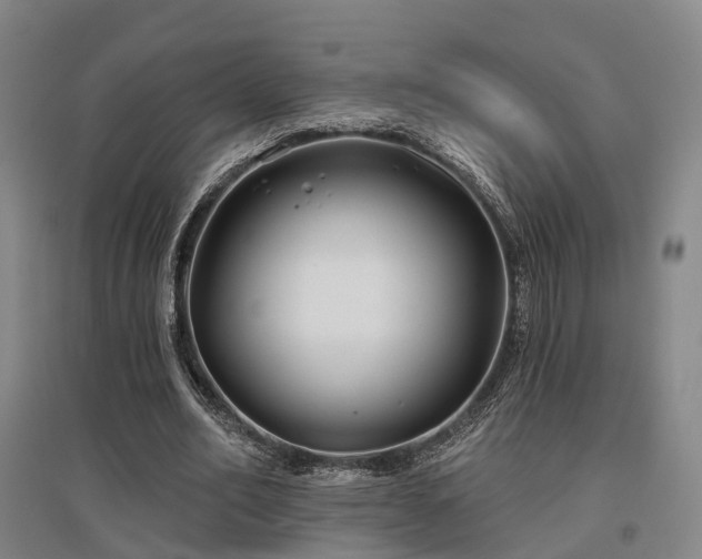 X0000097470582200802221238