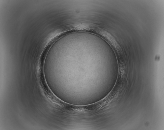 X0000097470583200802221238