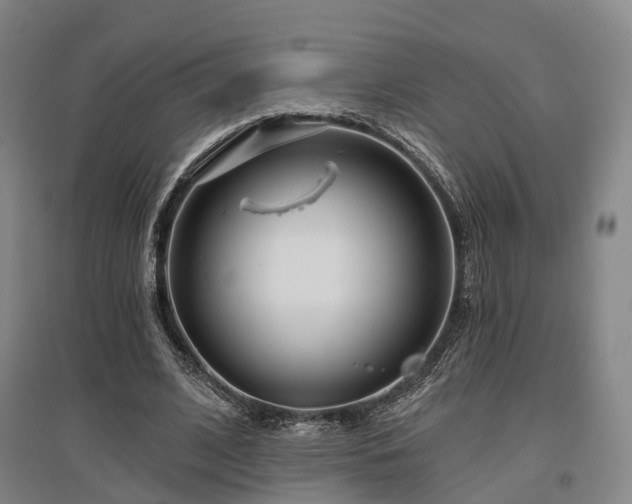 X0000097470584200802221238