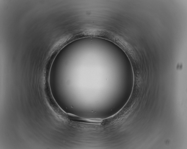 X0000097470586200802221238
