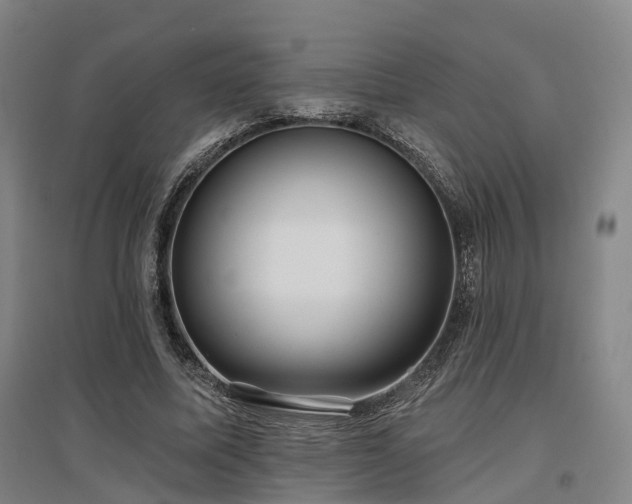 X0000097470587200802221238