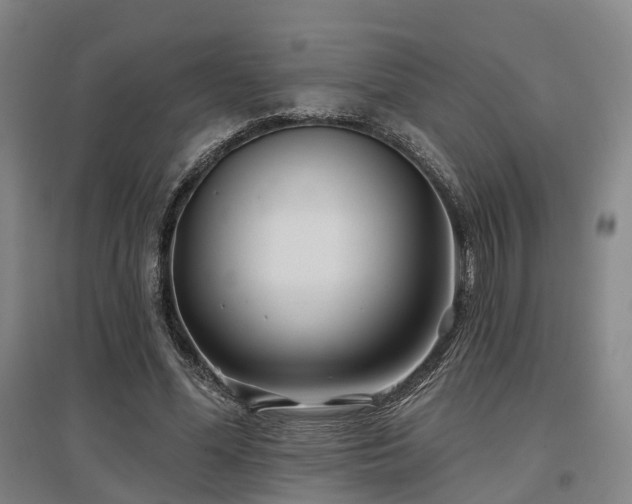 X0000097470588200802221237