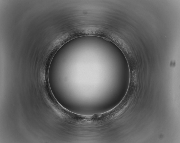 X0000097470589200802221237