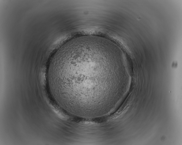 X0000097470590200802221237