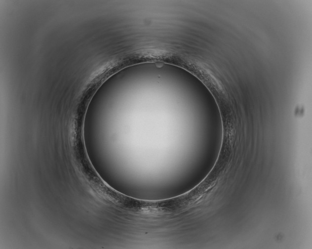 X0000097470591200802221237