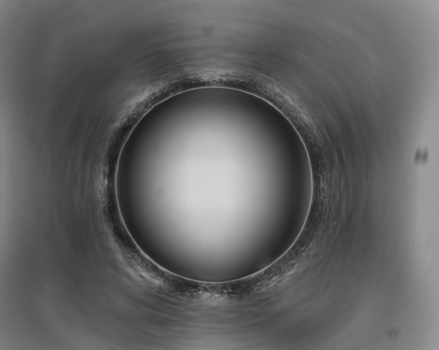 X0000097470592200802221237