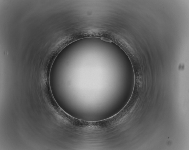 X0000097470593200802221237