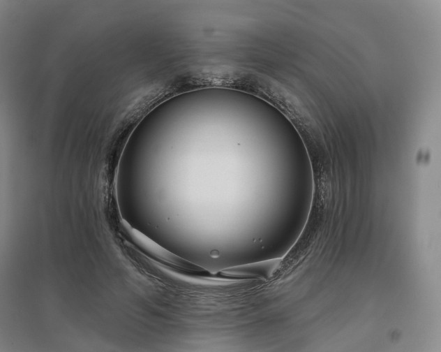 X0000097470594200802221237