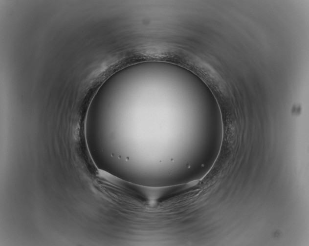 X0000097470596200802221237