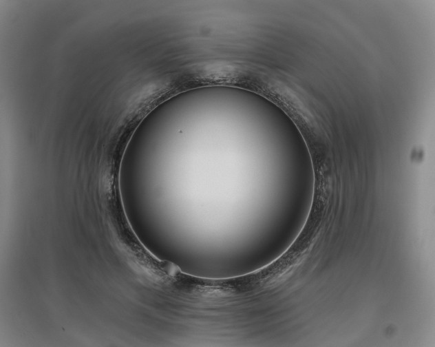 X0000097470597200802221237