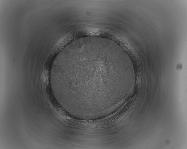 X0000097470598200802221237