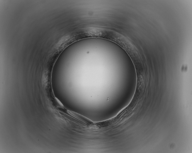 X0000097470600200802221237
