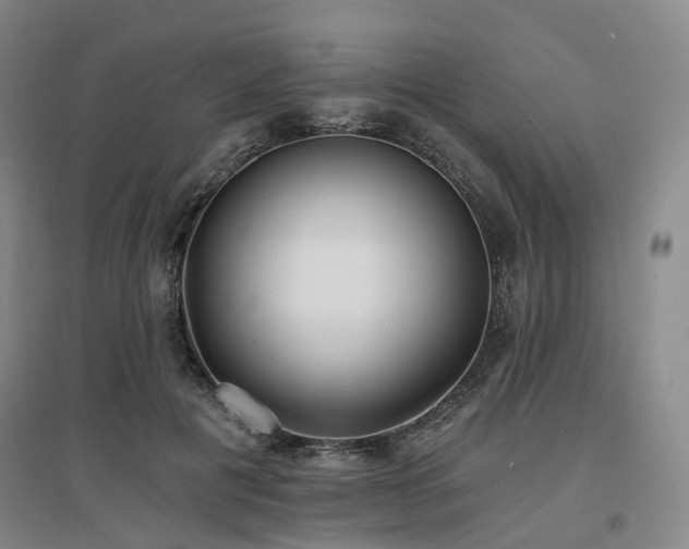 X0000097470601200802221237