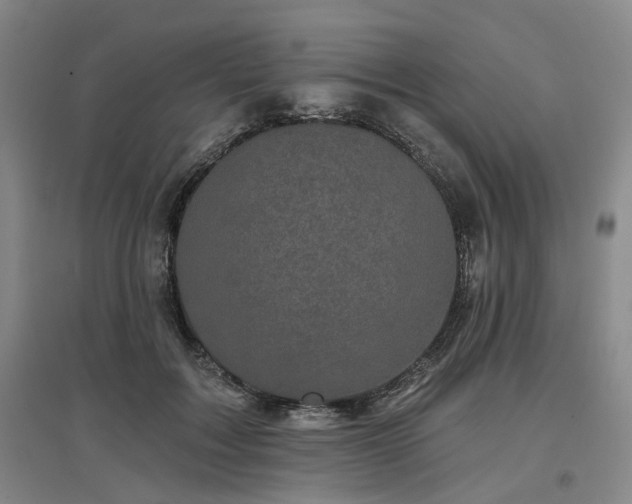 X0000097470603200802221237