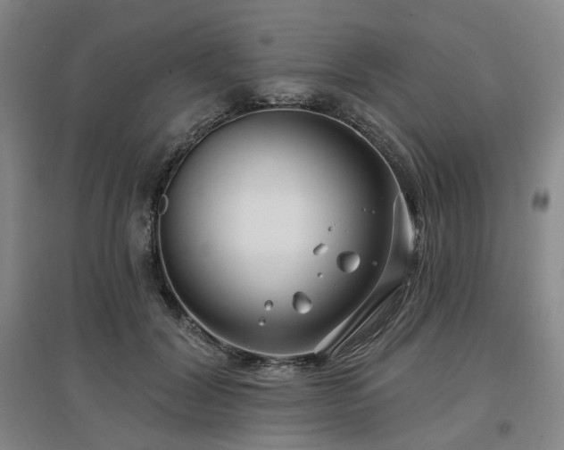 X0000097470604200802221237