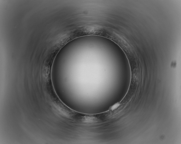 X0000097470605200802221237
