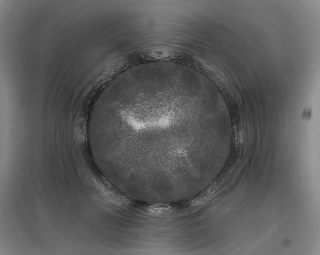 X0000097470606200802221237