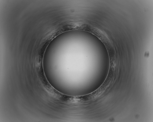 X0000097470607200802221237