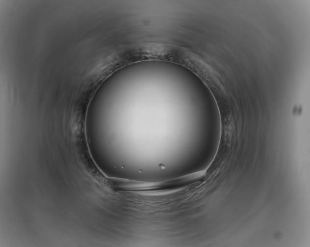 X0000097470608200802221237