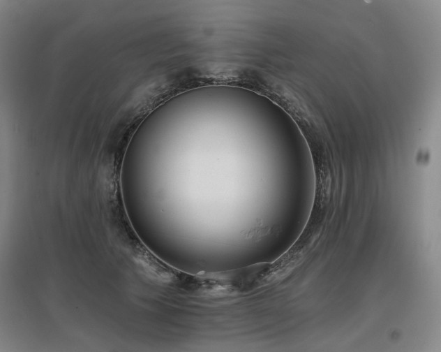 X0000097470609200802221237