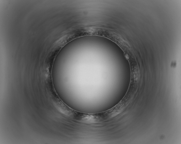 X0000097470611200802221237