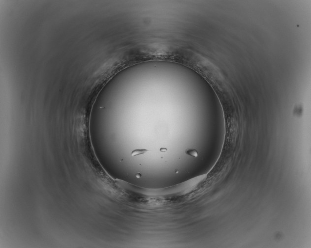 X0000097470612200802221237
