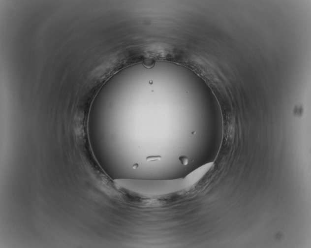 X0000097470616200802221237