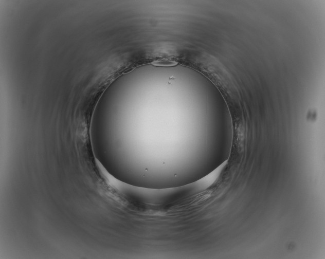 X0000097470617200802221237