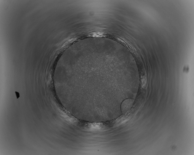 X0000097470618200802221237