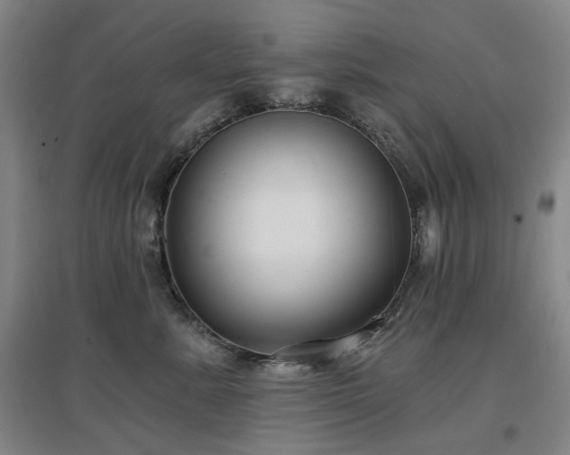 X0000097470619200802221237