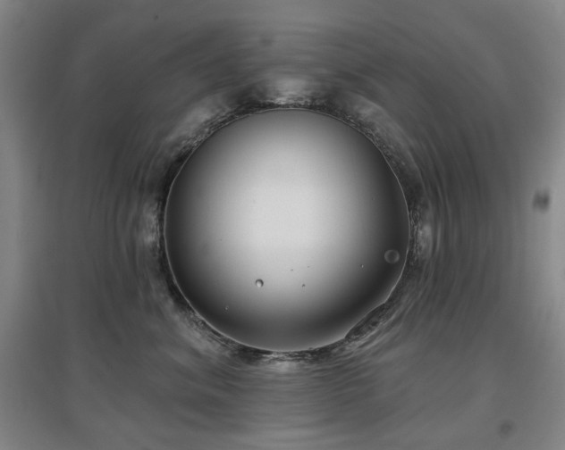 X0000097470620200802221237