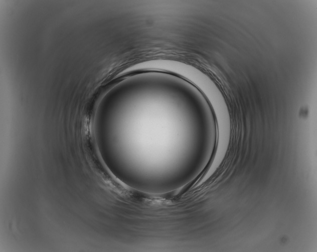 X0000097470621200802221237