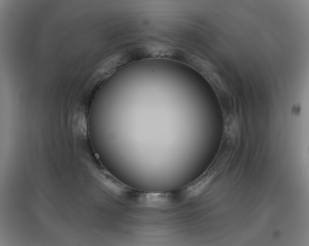 X0000097470622200802221237