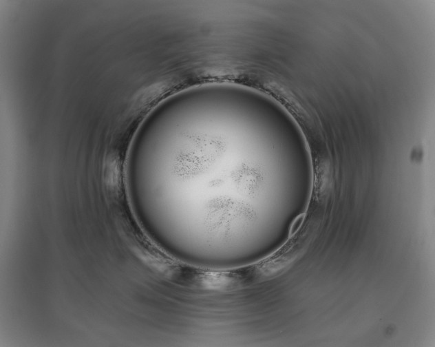 X0000097470623200802221237