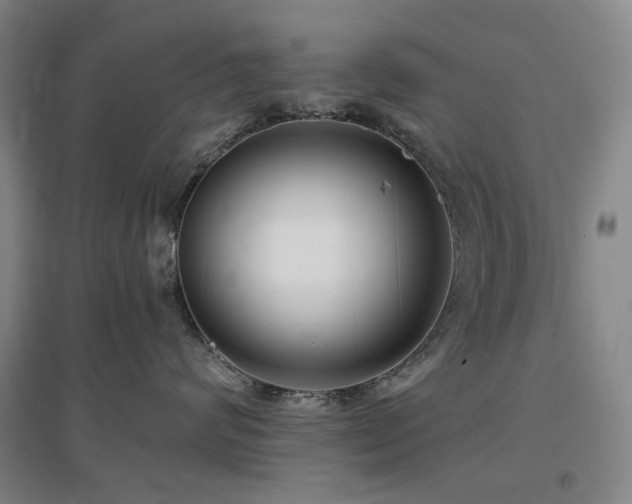 X0000097470624200802221237