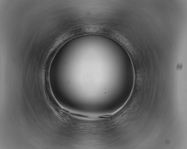 X0000097470626200802221236