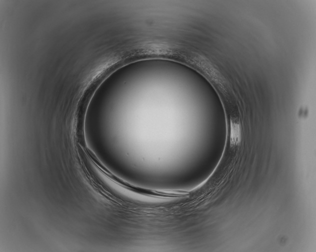 X0000097470627200802221236