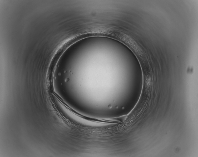 X0000097470628200802221236