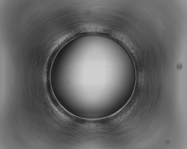 X0000097470629200802221236
