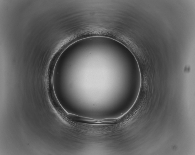 X0000097470630200802221236