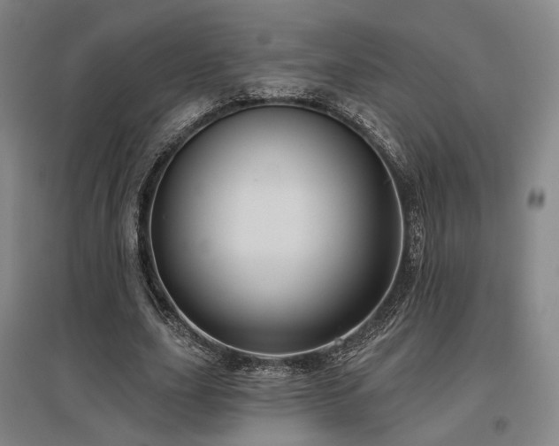 X0000097470631200802221236