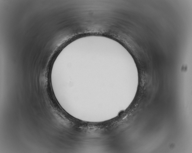 X0000097470632200802221236