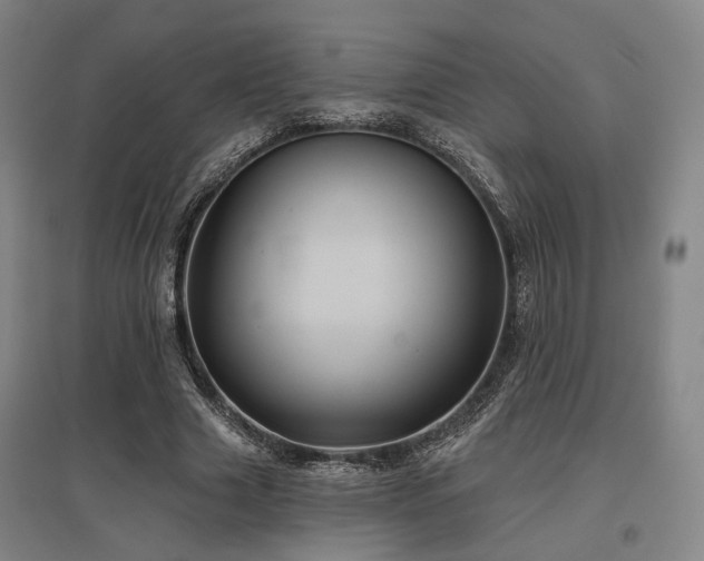 X0000097470633200802221236
