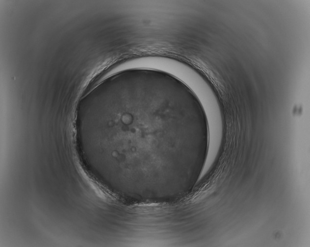 X0000097470634200802221236