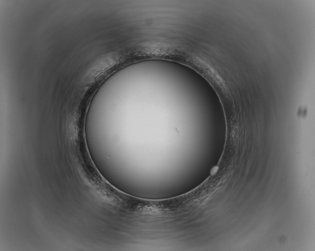 X0000097470635200802221236