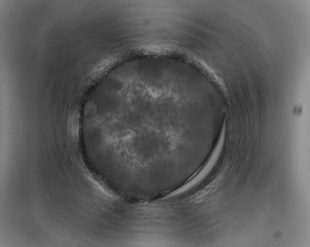X0000097470637200802221236