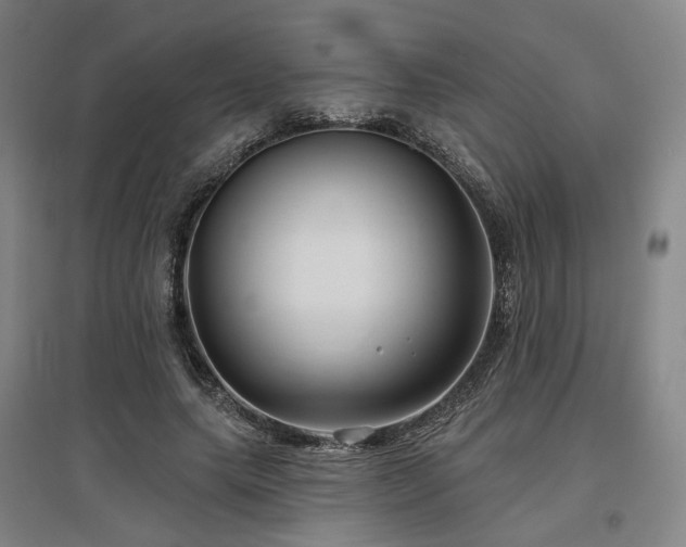X0000097470639200802221236